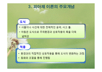 피아제 인지발달이론(피아제의생애, 인지발달개념, 피아제이론, 주요개념, 인지발달단계) PPT-6