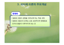 피아제 인지발달이론(피아제의생애, 인지발달개념, 피아제이론, 주요개념, 인지발달단계) PPT-8