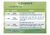 피아제 인지발달이론(피아제의생애, 인지발달개념, 피아제이론, 주요개념, 인지발달단계) PPT-10