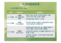 피아제 인지발달이론(피아제의생애, 인지발달개념, 피아제이론, 주요개념, 인지발달단계) PPT-11