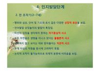 피아제 인지발달이론(피아제의생애, 인지발달개념, 피아제이론, 주요개념, 인지발달단계) PPT-12