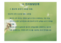 피아제 인지발달이론(피아제의생애, 인지발달개념, 피아제이론, 주요개념, 인지발달단계) PPT-15
