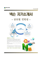 [넥슨자기소개서] 넥슨 글로벌인턴십 합격자소서와 면접기출문제,넥슨인턴자기소개서,넥슨자소서항목,nexon자기소개서-1