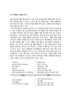 롯데월드 기업경영전략과 마케팅전략분석및 롯데월드 새로운전략제안 레포트-9