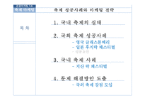 국내외 축제 마케팅 전략 비교 분석-지산 락페스티벌 중심으로-2