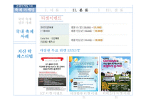 국내외 축제 마케팅 전략 비교 분석-지산 락페스티벌 중심으로-18