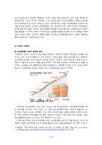소망화장품 기업 위기분석과 극복방안제안및 맨즈밤 광고기획안 레포트-13