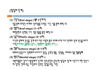 아동기, 청년기, 성인기의 발달-16
