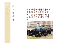 교권 추락 문제 고찰-10