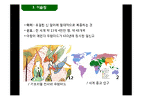종교간의 충돌과 조화-13