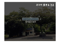 농촌복지의 현황과 문제점 및 발전방안-5