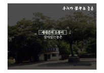 농촌복지의 현황과 문제점 및 발전방안-6