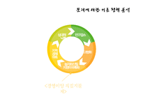 농촌복지의 현황과 문제점 및 발전방안-16