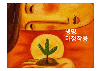 광합성과 세포호흡-1