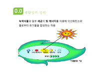 광합성과 세포호흡-5