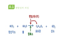 광합성과 세포호흡-7