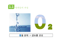 광합성과 세포호흡-10