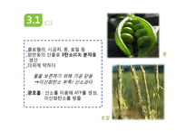 광합성과 세포호흡-15