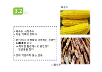 광합성과 세포호흡-16