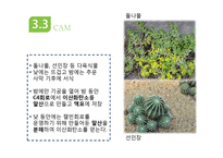 광합성과 세포호흡-17