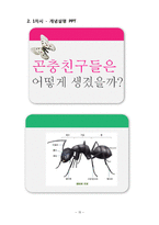 초등3학년 생물교육 수업지도안-곤충의 한 살이-15