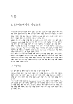 [SK이노베이션 경영전략분석] SK이노베이션 기업분석및 지속성장 경영전략분석과 SK이노베이션 SWOT,STP분석및 나의견해정리 레포트-2