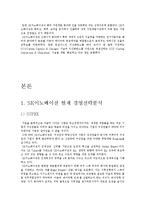 [SK이노베이션 경영전략분석] SK이노베이션 기업분석및 지속성장 경영전략분석과 SK이노베이션 SWOT,STP분석및 나의견해정리 레포트-4