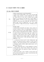 스코노 SKONO 기업분석과 한국시장진출 경영전략분석및 스코노의 미래전략제안 레포트-17