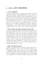 스코노 SKONO 기업분석과 한국시장진출 경영전략분석및 스코노의 미래전략제안 레포트-19