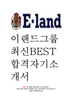 이랜드그룹 이랜드 이랜드리테일 글로벌 SPA 판매전문가 최신 BEST 합격 자기소개서!!!!-1