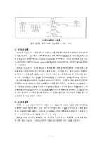 이스라엘 정보기관 연구-4