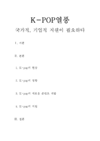K-POP 열풍과 국가와 기업의 지원 필요성 고찰-1