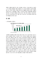 아모레퍼시픽 vs LG생활건강 기업분석과 LG생활건강,아모레퍼시픽의 중국진출 마케팅전략 비교분석및 진출결과분석과 두기업의 미래과제분석 레포트-6