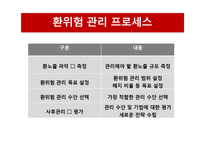환위험 관리기법과 사례 분석-6