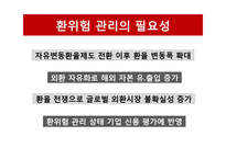 환위험 관리기법과 사례 분석-10