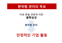 환위험 관리기법과 사례 분석-11