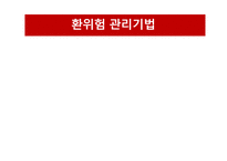 환위험 관리기법과 사례 분석-13