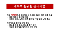 환위험 관리기법과 사례 분석-14