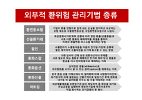 환위험 관리기법과 사례 분석-20