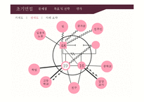 개인파산 & 한부모 가족의 사회복지 개입-4