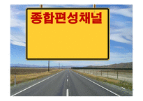 종합편성채널, 종편의 문제점과 해결방안-1