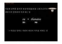 안락사에 대한 윤리적 고찰-4