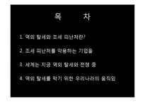 역외 탈세와 조세 피난처 문제 고찰-2