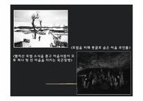 제주 4.3 사건 연구-학살 주장 중심으로-4