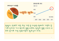 아이돌보미사업 현황과 문제점 및 보완법 고찰-3