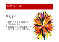 장애인 소비자의 문화생활 현황과 개선방안-4