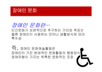 장애인 소비자의 문화생활 현황과 개선방안-5