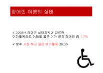 장애인 소비자의 문화생활 현황과 개선방안-20