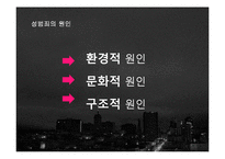 우리나라 성범조의 원인과 해결방안 고찰-4
