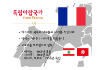 독립아랍국가의 등장과 아랍민족주의-8